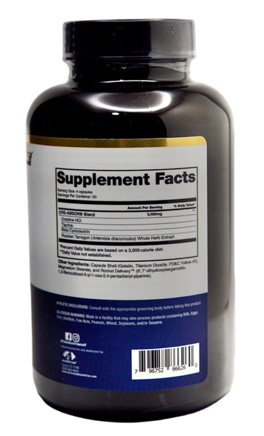 Gym Essential Stack