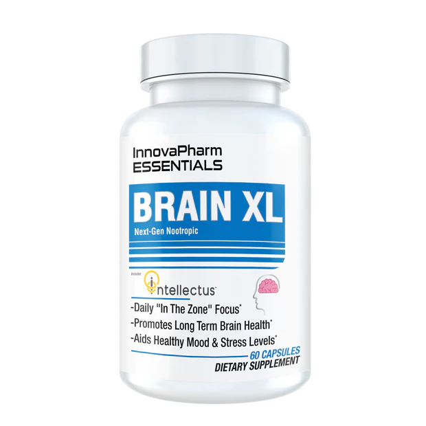 Brain XL