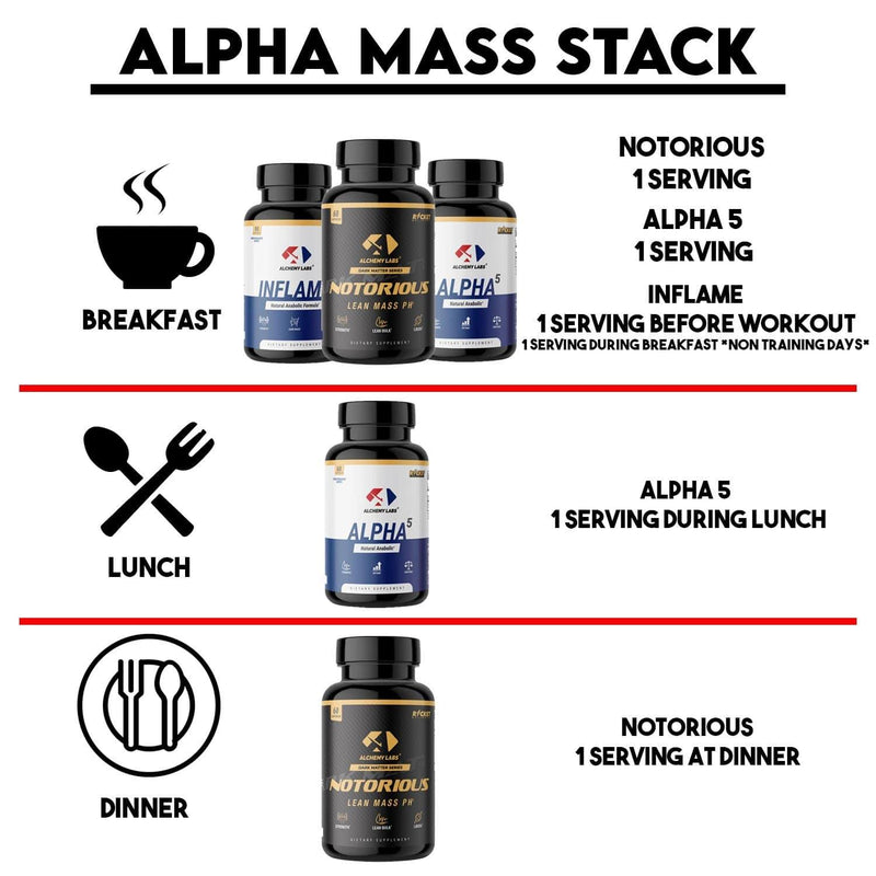 alchemy labs notorious